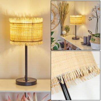 Chenevrey Tafellamp Zwart, 1-licht