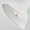 Vouzy Plafondlamp Wit, 1-licht