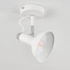 Vouzy Plafondlamp Wit, 1-licht