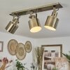 Neves Plafondlamp Messing, 3-lichts