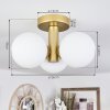 Cebola Plafondlamp Goud, 3-lichts