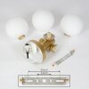 Cebola Plafondlamp Goud, 3-lichts