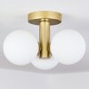 Cebola Plafondlamp Goud, 3-lichts