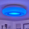 Monfebres Plafondlamp LED Zilver, Wit, 1-licht, Afstandsbediening, Kleurwisselaar