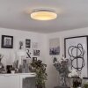 Ral Plafondlamp LED Zilver, Wit, 1-licht, Afstandsbediening, Kleurwisselaar
