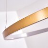 Canisteo Hanger LED Goud, 1-licht