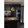 Eglo CARLTON Hanger Goud, 1-licht