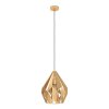 Eglo CARLTON Hanger Goud, 1-licht