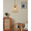 Eglo AYESGARTH Hanger Zwart, 1-licht