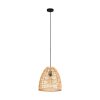 Eglo AYESGARTH Hanger Zwart, 1-licht