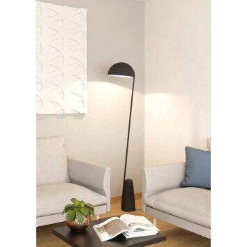 Eglo ARANZOLA Staande lamp Zwart, Wit, 1-licht