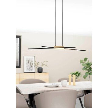 Eglo PANAGRIA Hanger LED Bruin, Zwart, 2-lichts