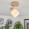Eglo CORATO Plafondlamp Nikkel mat, Zandkleurig, 1-licht