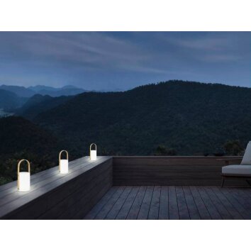 Eglo CUENCA Tafellamp voor buiten LED Bruin, Wit, 8-lichts