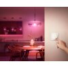 Philips Hue Tap Dial Schakelaar Wit