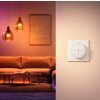 Philips Hue Tap Dial Schakelaar Wit