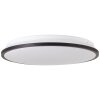 Brilliant Heida Plafondlamp LED Zwart, Wit, 1-licht, Afstandsbediening, Kleurwisselaar