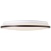 Brilliant Heida Plafondlamp LED Zwart, Wit, 1-licht, Afstandsbediening, Kleurwisselaar