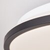 Brilliant Heida Plafondlamp LED Zwart, Wit, 1-licht, Afstandsbediening, Kleurwisselaar