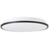 Brilliant Heida Plafondlamp LED Zwart, Wit, 1-licht, Afstandsbediening, Kleurwisselaar