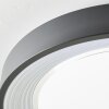 Brilliant Florella Plafondlamp LED Zwart, Wit, 1-licht, Afstandsbediening, Kleurwisselaar