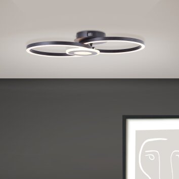 Brilliant Bray Plafondlamp LED Zwart, Wit, 1-licht