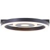 Brilliant Maureen Plafondlamp LED Zwart, Wit, 1-licht