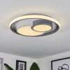 Casqueira Plafondlamp LED Grijs, Wit, 1-licht