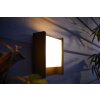 Philips Hue White Fuzo Buiten muurverlichting LED Zwart, 1-licht