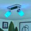 Cerejeiras Plafondlamp LED Chroom, 2-lichts, Afstandsbediening, Kleurwisselaar