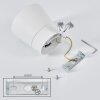 Especiosa Plafondlamp Wit, 1-licht