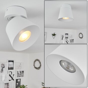 Especiosa Plafondlamp Wit, 1-licht