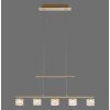 Paul Neuhaus HYDRA Hanglamp LED Messing, 5-lichts