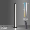Paul Neuhaus PURE-LINES Staande lamp LED Antraciet, 1-licht, Afstandsbediening