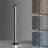 Paul Neuhaus PURE-LINES Staande lamp LED Antraciet, 1-licht, Afstandsbediening