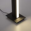 Paul Neuhaus PURE-LINES Staande lamp LED Antraciet, 1-licht, Afstandsbediening