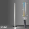 Paul Neuhaus PURE-LINES Staande lamp LED Aluminium, 1-licht, Afstandsbediening