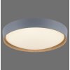Paul Neuhaus Q-EMILIA Plafondlamp LED Grijs, houtlook, 1-licht, Afstandsbediening