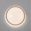 Paul Neuhaus Q-EMILIA Plafondlamp LED Grijs, houtlook, 1-licht, Afstandsbediening