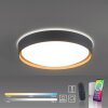 Paul Neuhaus Q-EMILIA Plafondlamp LED Grijs, houtlook, 1-licht, Afstandsbediening