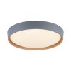 Paul Neuhaus Q-EMILIA Plafondlamp LED Grijs, houtlook, 1-licht, Afstandsbediening