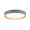 Paul Neuhaus Q-EMILIA Plafondlamp LED Grijs, houtlook, 1-licht, Afstandsbediening