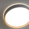 Paul Neuhaus Q-EMILIA Plafondlamp LED Grijs, houtlook, 1-licht, Afstandsbediening