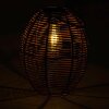 Eglo Z_SOLAR Tafellamp voor buiten LED Bruin, 2-lichts