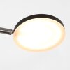 Steinhauer Soleil Staande lamp LED Zwart, 1-licht
