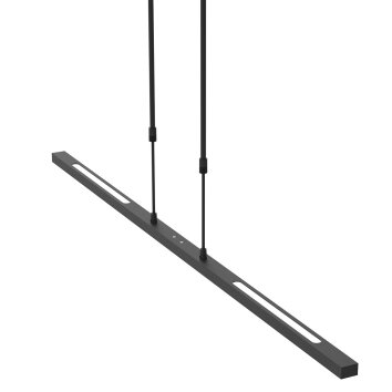 Steinhauer Bande Hanglamp LED Zwart, 3-lichts