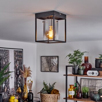 Sarniguet Plafondlamp Zwart, 1-licht