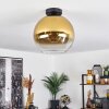 Koyoto  Plafondlamp Glas 30 cm Goud, Duidelijk, 1-licht