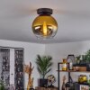 Koyoto  Plafondlamp Glas 20 cm Goud, Duidelijk, 1-licht