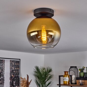 Koyoto  Plafondlamp Glas 20 cm Goud, Duidelijk, 1-licht